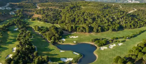 Terreno en Sotogrande Alto