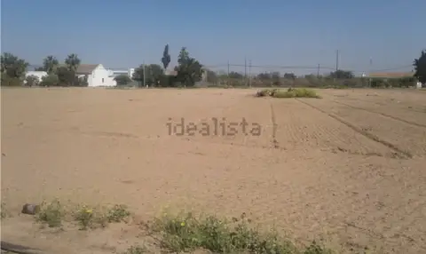 Terreno en calle Terreno en Venta en los Isidros S/N , Albujón