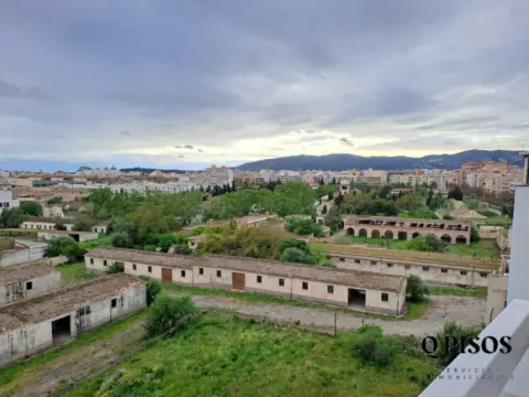 Piso en Carrer de Sant Vicenç Paül