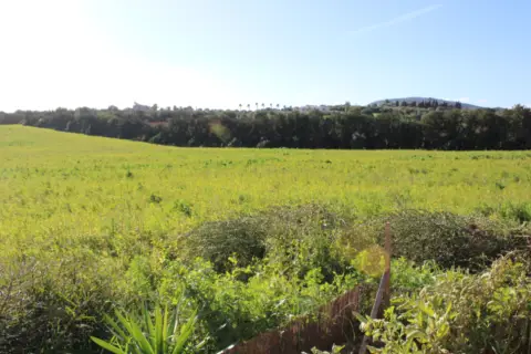Casa en Cales de Mallorca
