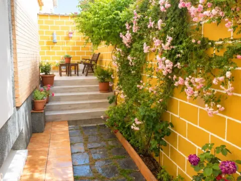 Casa en Miguelturra