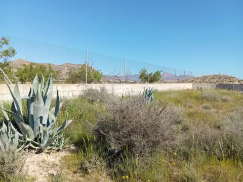 Terreno en L´Alcoraia