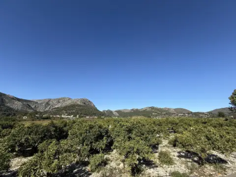 Terreno en Tormos