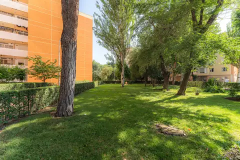 Piso en Naranjo-La Serna