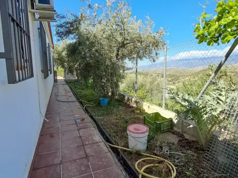 Finca rústica en Alcolea