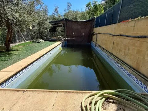 Finca rústica en Alcolea