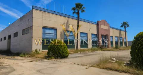 Nave industrial en Golf Guadiana-Cerro Gordo