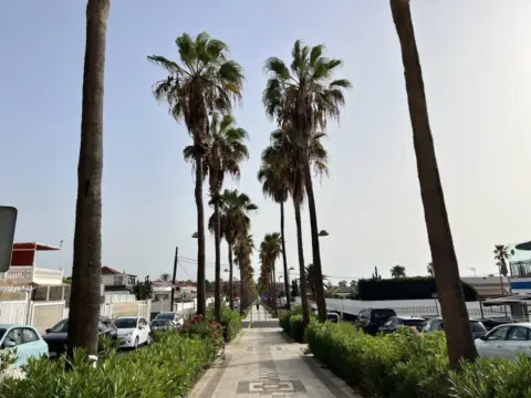 Piso en Avenida Palm-mar