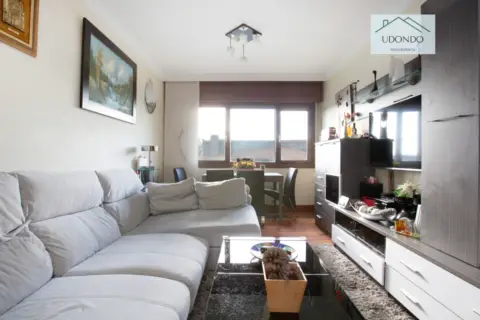 Piso en Avenida de Sabino Arana