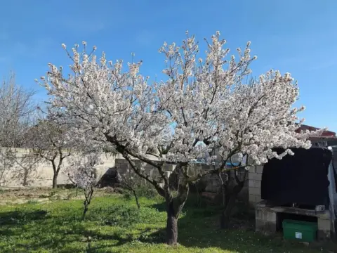 Casa rústica en Alfajarín