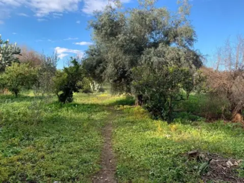 Terreno en Carril de las Palmeras, 4