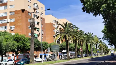 Piso en Avenida de Sinforiano Madroñero