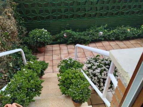 Chalet adosado en Avenida de la Libertad