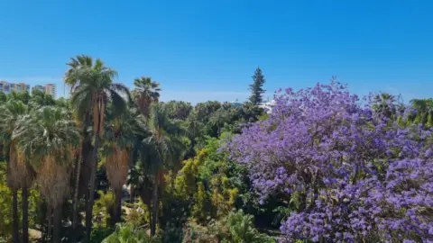 Dúplex en calle de la Cortina del Muelle