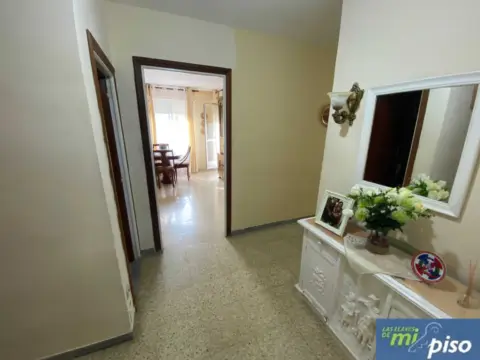 Piso en Avenida de Fernando Ferreiro