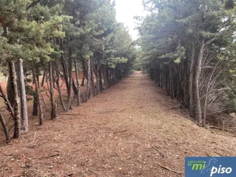 Chalet unifamiliar en Urbanización Pago La Venta, nº 1