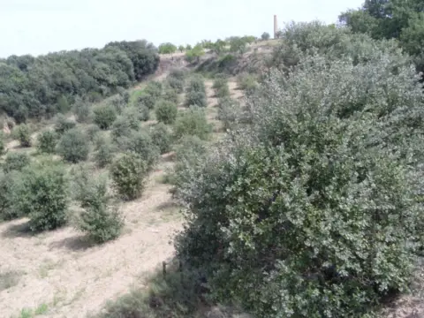 Terreno en calle Afueras, nº 00