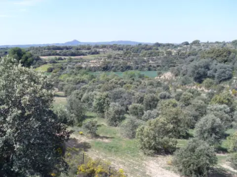 Terreno en calle Afueras, nº 00