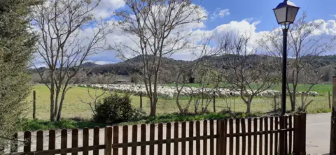 Casa en calle Condes del Sobrarbe, nº 00