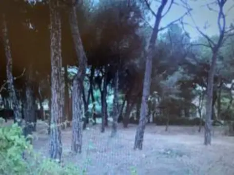 Terreno en calle Tamarindo, 1