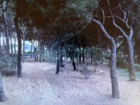 Terreno en calle Tamarindo, 1