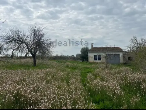 Casa en Santa Margalida