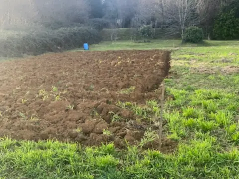 Terreno en calle Mies Valle