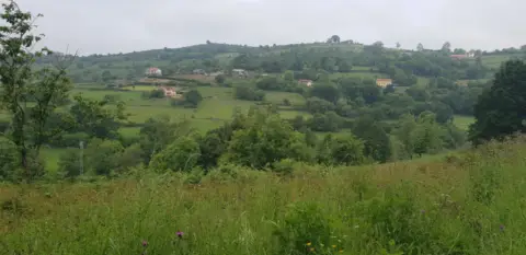 Terreno en Camino Sograndio