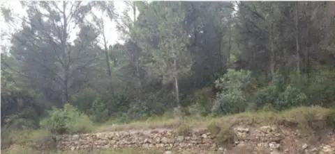 Terreno en calle Urbanización Montes de Palancia, nº 6