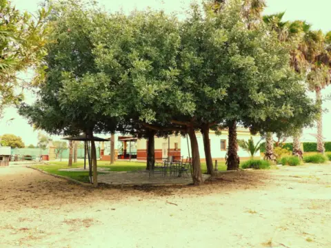 Finca rústica en calle Pago Hato de La Carne, Polígono 15, Parcela 56