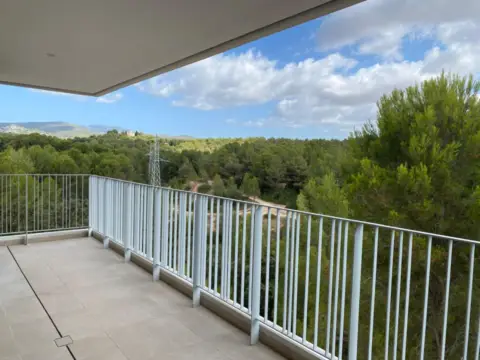 Piso en calle Margalida Jofre