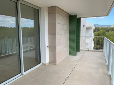 Piso en calle Margalida Jofre