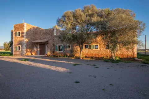 Finca rústica en Campos