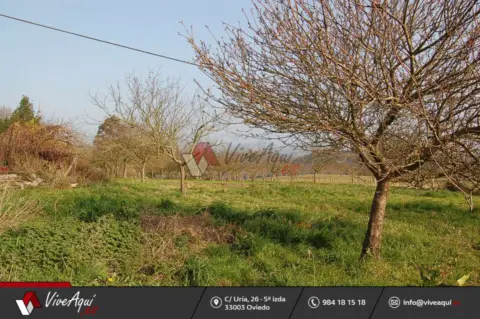 Terreno en Finca Soleada en Careñes, Villaviciosa, Finca Edificale Con Pomarada y Frutales
