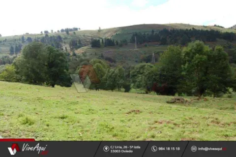 Terreno en Oriente - Piloña
