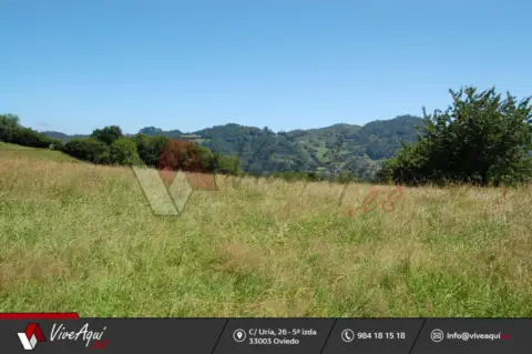 Terreno en Nava, Zona de - Cabranes