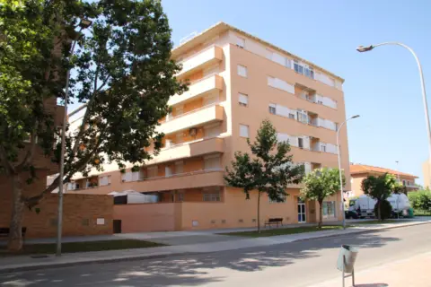 Piso en Avenida de Pascual Marquina