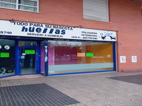 Local comercial en Sagastieder Pasealekua, 4