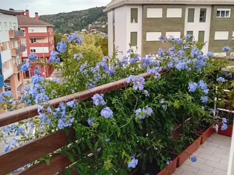 Piso en Galizia Pasealekua