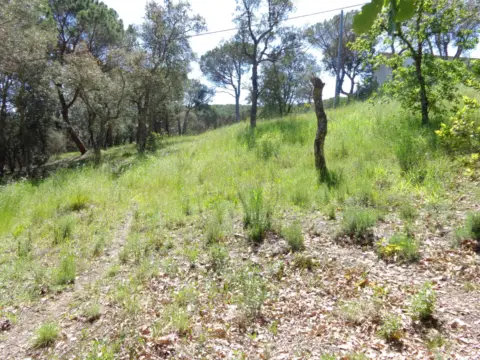 Terreno en Santa Cristina D´Aro