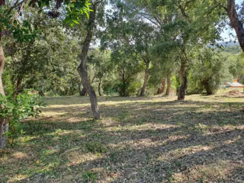 Terreno en Carrer de Santa Cristina