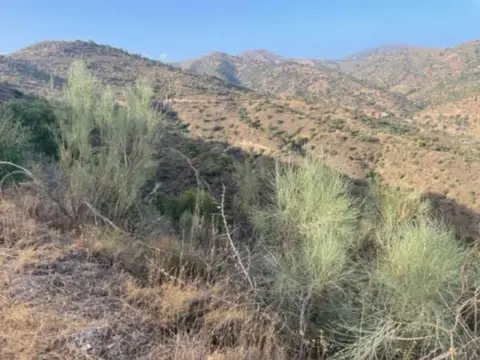 Terreno en Camino Altos de Jaboneros