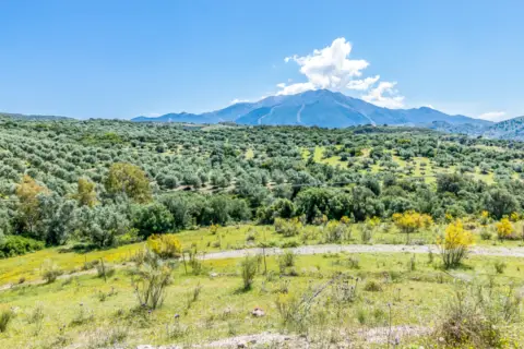 Terreno en Pasaje Cortijo Alto