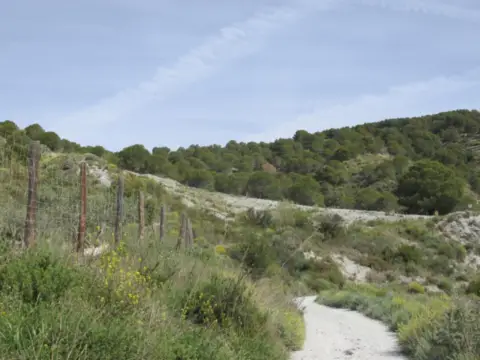 Terreno en calle La Garnatilla