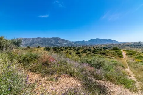 Terreno en Urbanización Loma del Flamenco