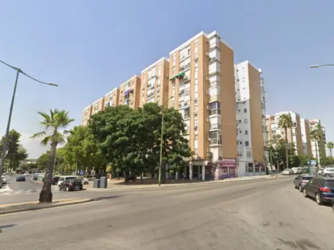 Piso en Avenida de la Calesera