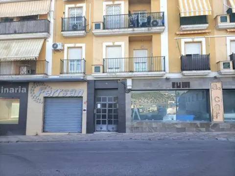 Piso en Avenida de la Juventud, 16