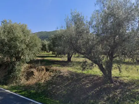 Terreno en Carretera Ma-128