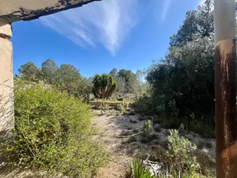 Finca rústica en Navarrés
