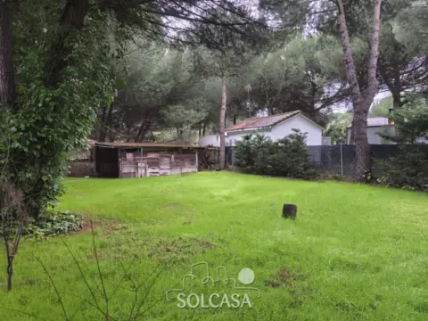 Terreno en calle del Pinar